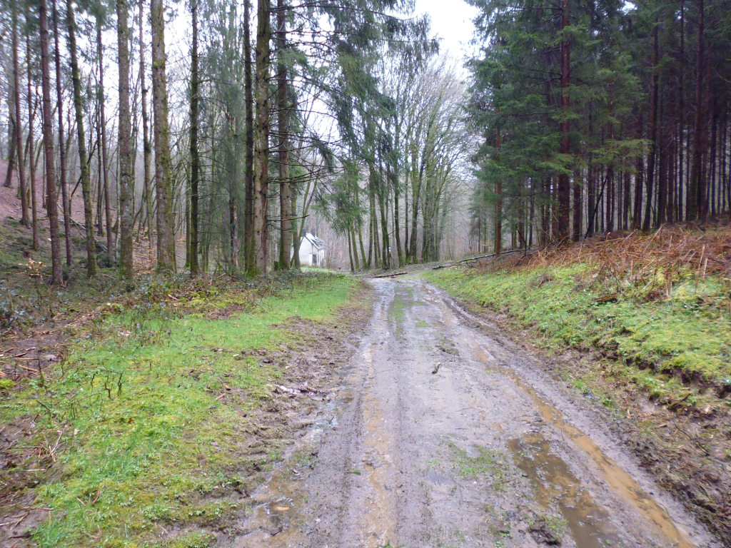 La Baraque Payat, située dans la zone préservée par la commune de Tintigny, est en pleine nature wallonne. Ailleurs, le même type de vue, d’apparence totalement naturelle, est en général trompeuse : l’air ambiant y est traversé de rayonnements électromagnétiques de hautes fréquences. Combien de telles zones - plus ou moins - saines et naturelles existent-elles encore en Belgique ? © Valérie-Anne Hugé