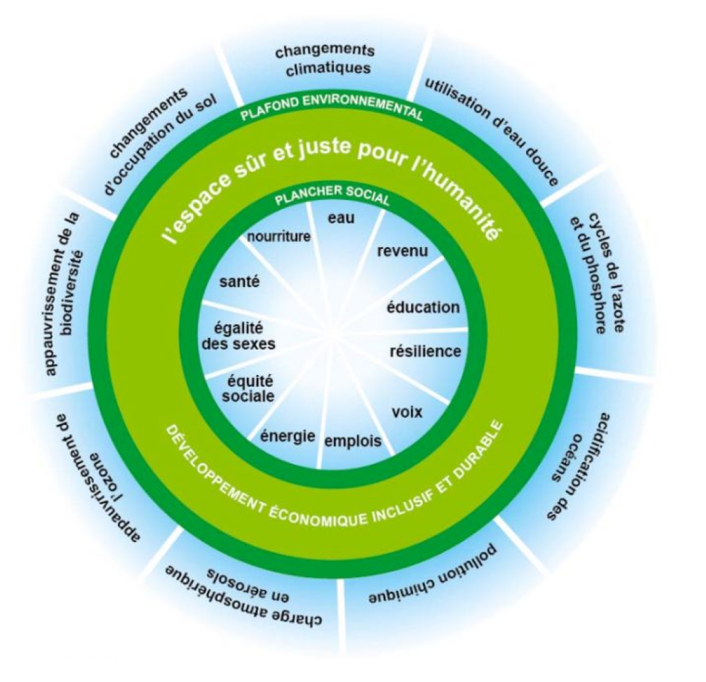 Basée sur les travaux de l’économiste Kate Raworth(Lire l’encadré p. XXX), cette vision du Donut montre un double cercle&nbsp;: un cercle intérieur nommé «&nbsp;Plancher social&nbsp;», au-dessus duquel les besoins fondamentaux sont remplis, le cercle extérieur est nommé «&nbsp;Plafond environnemental&nbsp;», au-delà duquel nous trouvons par exemple l’appauvrissement de la biodiversité et le changement climatique… Entre les deux, nous trouvons l’espace sûr et juste pour l’humanité.